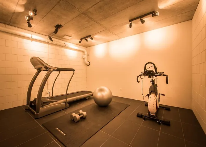 Independance Penthouse Ιντερλάκεν